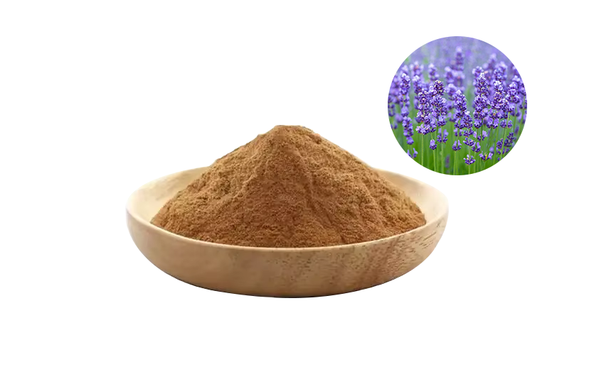 Lavender Extract Powder